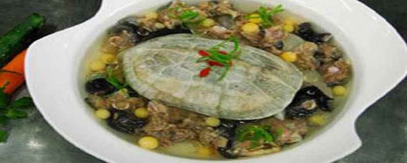 乌龟肉的功效与作用(乌龟肉具有大补阴虚、治阴虚血热之症的作用)