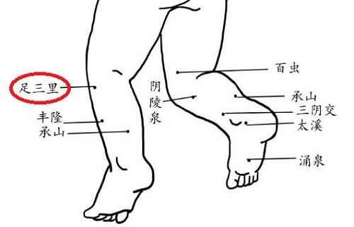 小儿足三里的准确位置图和作用(小儿足三里的准确位置图)