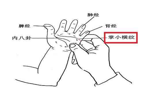 掌小横纹位置图片(掌小横纹特效推拿疗法用)