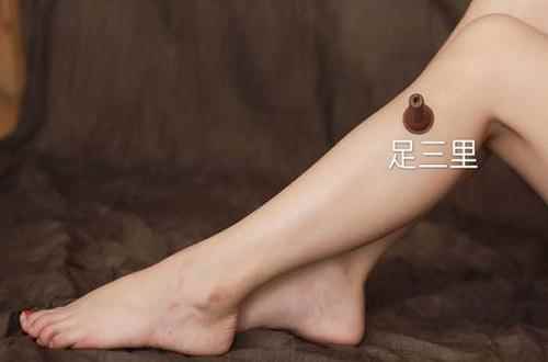 足三里的功效与作用(艾灸足三里可以防治哪些疾病)