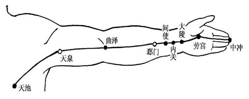 心包经的准确位置图(心包经的准确位置图片)