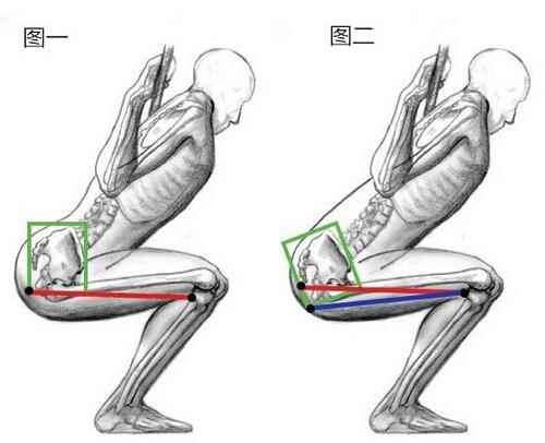 杠铃深蹲的标准动作图片(杠铃颈前深蹲标准动作)
