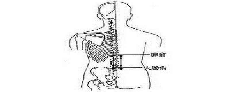 脾俞的简易找法(脾俞的简易找法视频)