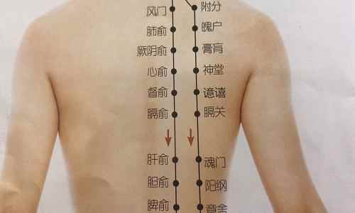 督俞的准确位置图作用(督俞穴的准确位置图)