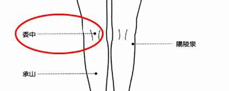 委中的准确位置图及作用功效(委中疼痛怎么按摩两手拇指端)