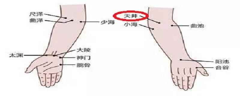 按摩天井的作用与好处(天井的准确位置视频)