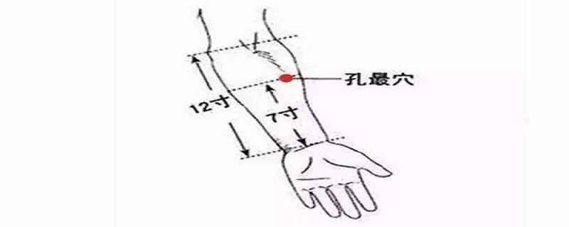 孔最准确位置图和作用及视频(孔最准确位置图片及功效)