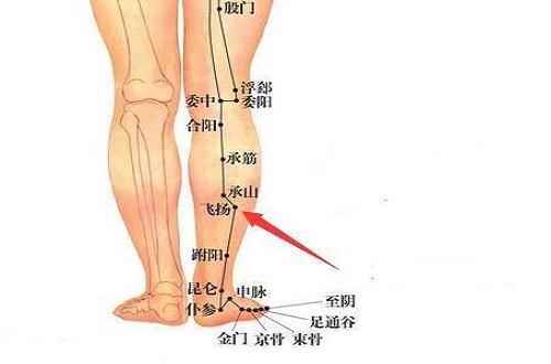 飞扬的准确位置图片(飞扬的准确位置图片及功效)