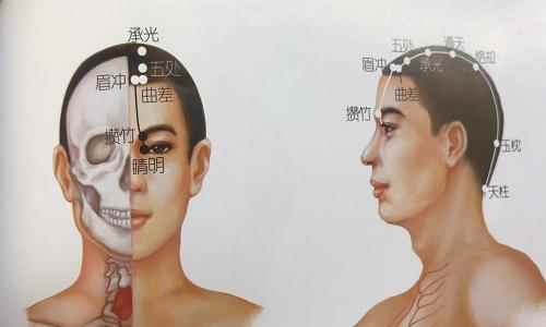 五处的准确位置图(五处穴养生按摩方法常用食指指腹按摩)