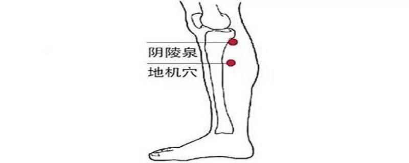 地机的准确位置图视频(地机的作用与好处)