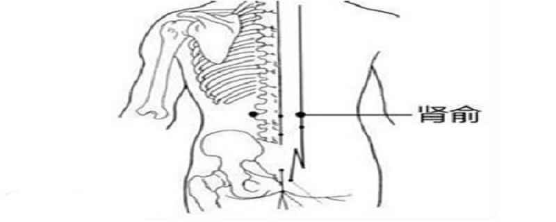 肾俞的简易找法(肾俞的简易找法视频)