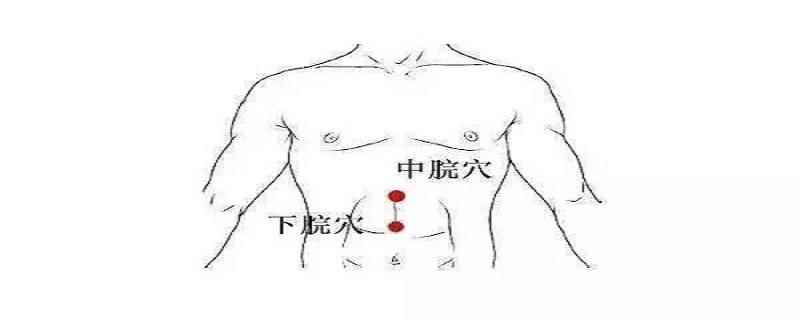 下脘的准确位置图和作用(下脘的准确位置图科学定位)