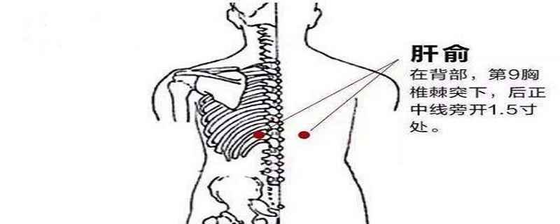 肝俞怎么找最简单(肝俞怎么找最简单方法)