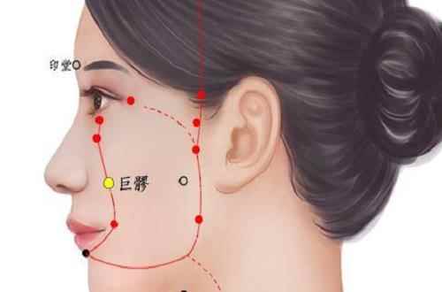 巨髎的准确位置图(巨髎穴按摩养生疗法用两手拇指腹点按本穴)