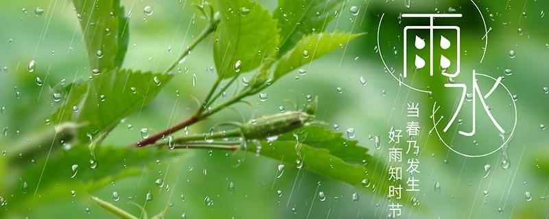 雨水节气吃什么传统食物(雨水节吃