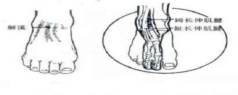 解溪穴功效与作用(解溪的准确位置和作用)