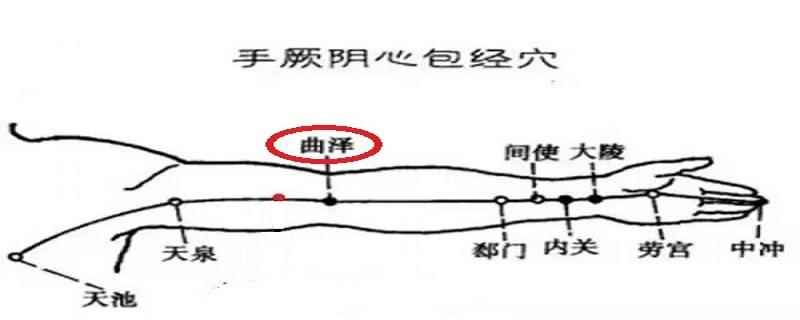 曲泽的作用与好处(曲泽的准确位置视频)