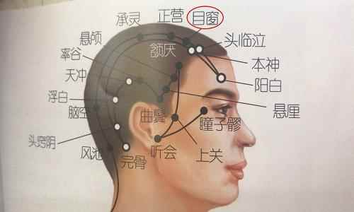 目窗穴正确位置图(目窗穴怎么找)