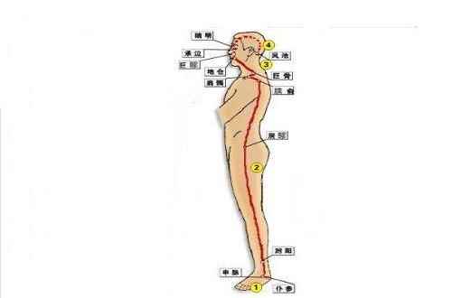 阳跷脉循行路线图片(阳跷脉循行路线图片与功能)