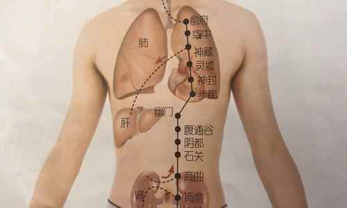 神藏的准确位置图作用(神藏穴养生应用方法用刮痧板隔着衣服)