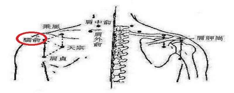 臑俞准确位置图(臑俞准确位置图和作用)