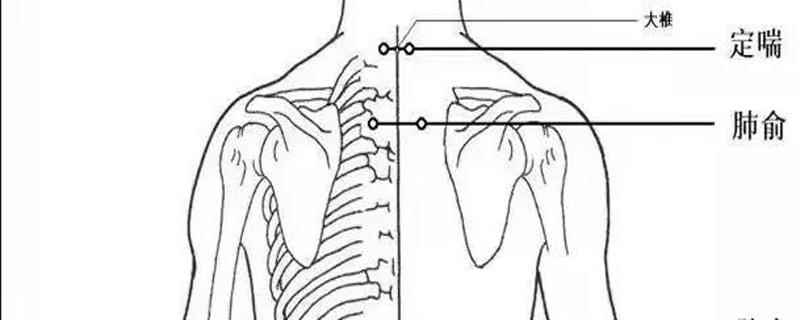 定喘的准确位置定位(定喘和大椎是一个位置吗)