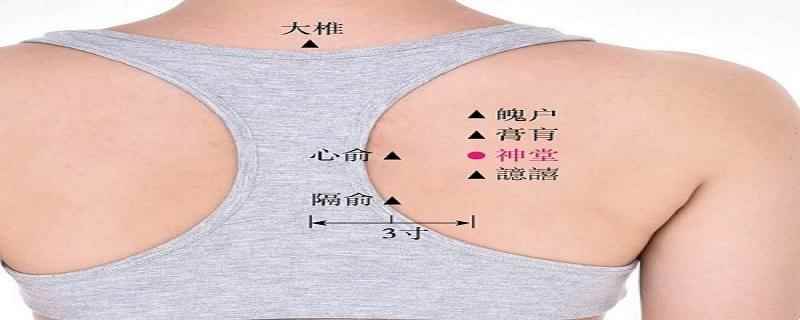 神堂的位置和作用(神堂针刺操作手法简易取穴)