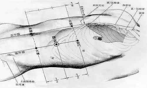 章门的准确位置图和作用(章门的准确位置及按摩疗法)