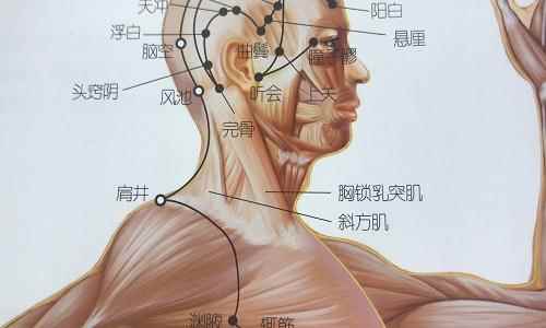 头窍阴的准确位置图片(头窍阴养生按摩方法用拇指关节)