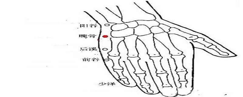 前谷的作用是什么(前谷穴位的功效与作用)