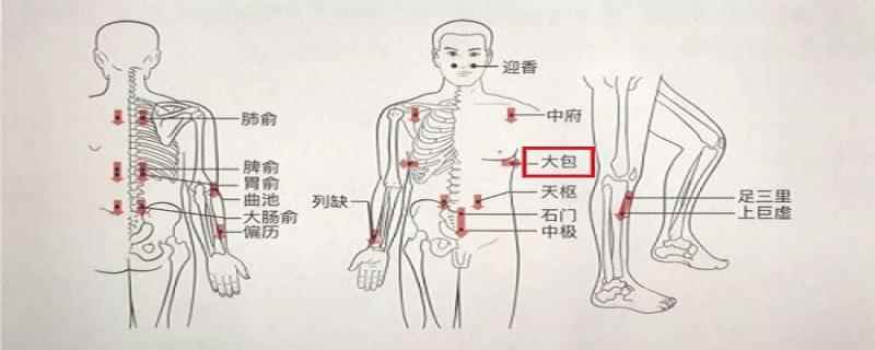 大包的准确位置及功效(大包快速取穴的方法)