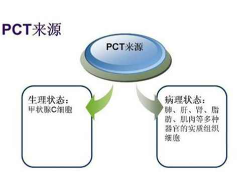 降钙素是什么(降钙素的作用机理)