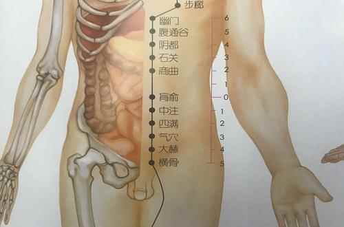 肓俞的准确位置图(俞俞的准确位置图精确定位)
