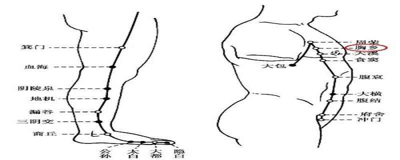 胸乡穴的准确位置及功效(胸乡穴属于哪个经络)