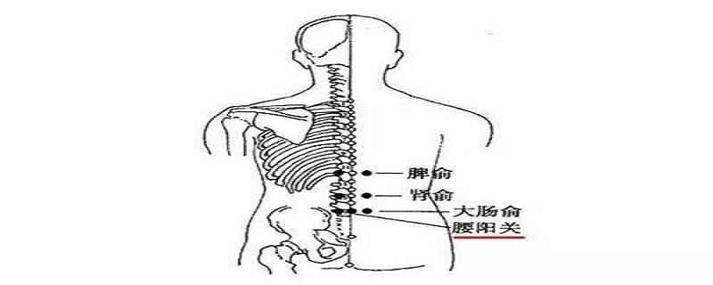 腰阳关的准确位置视频(腰阳关按摩的正确方法)