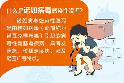 什么是诺如病毒(诺如病毒高发期是