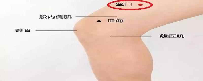 箕门准确位置图片(箕门准确位置图片及作用)