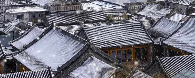 小雪节气吃什么食物养生(小雪节气吃什么食物好)