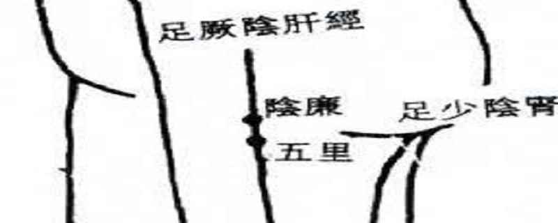 阴廉准确位置图和作用及功效(阴廉穴的准确位置图和作用)