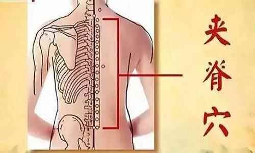 夹脊的准确位置图(夹脊的准确位置图功效)