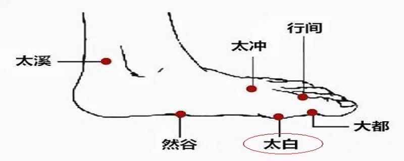 太白的准确位置图(太白的准确位置图和作用视频)