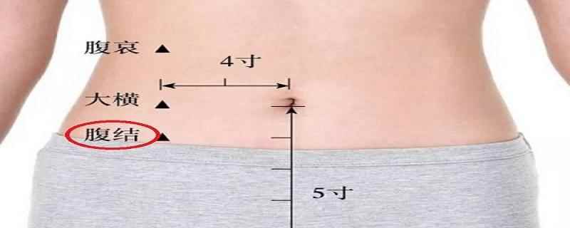 腹结的定位与主治(腹结的定位科学定位及操作方法)