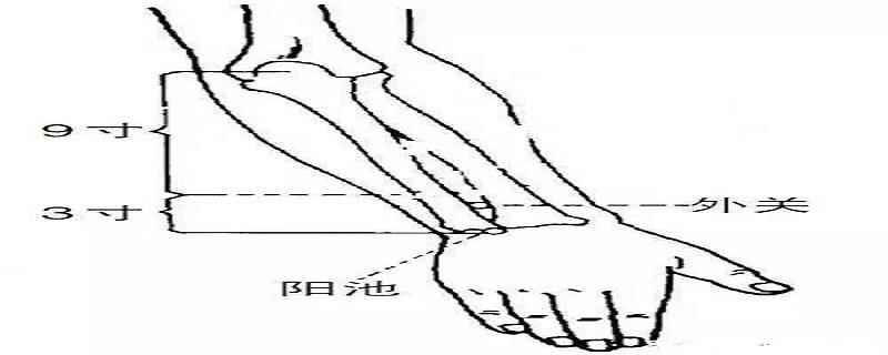 外关针灸位置图和作用(外关针灸视频)