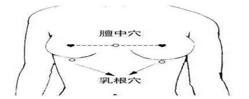 乳根的准确位置视频(乳根的准确位置)