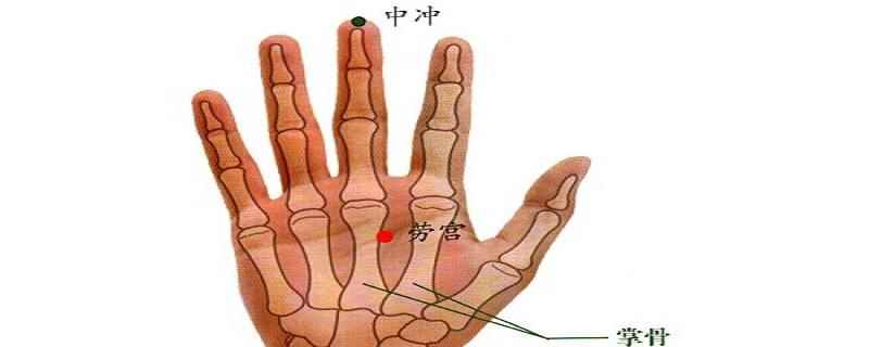 中冲穴位的准确位置(中冲准确位置图)