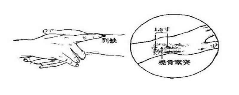 列缺的功效与作用(列缺的准确位置图视频)