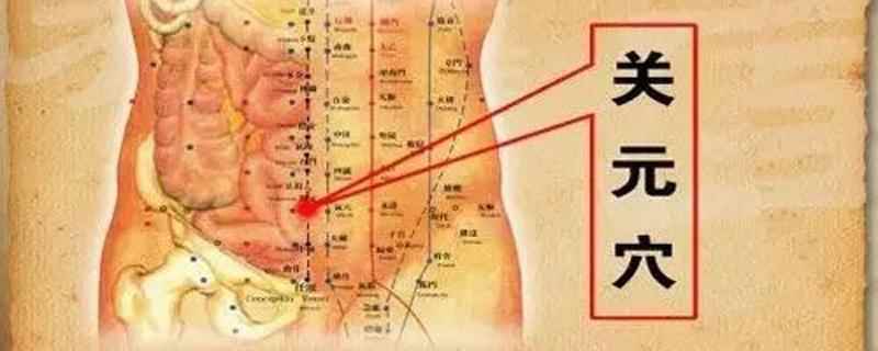 关元的准确位置图和作用(关元的准确位置图和作用及功效)
