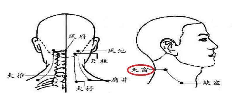 天窗在什么位置图(天窗穴准确位置图和作用)