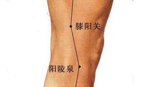 膝阳关的准确位置(膝阳关的准确位置与功效)