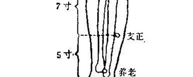 支正的准确位置(支正的功效与作用)